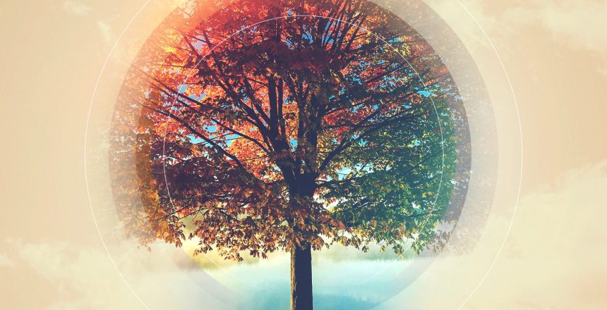 We Are Thankful Fall Worship Background